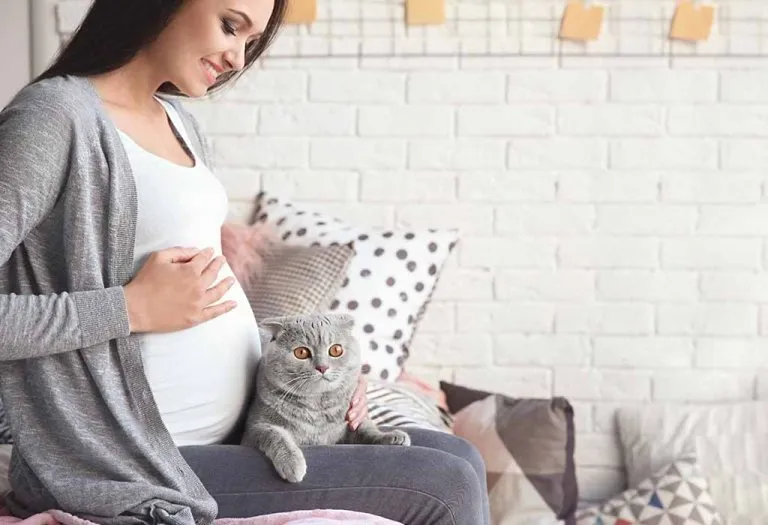 Can Cats Sense Pregnancy?