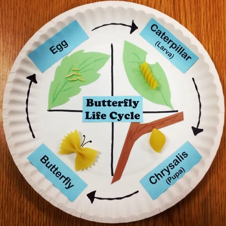 10 Amazing Butterfly Crafts & Activities for Toddlers, Preschoolers & Kids