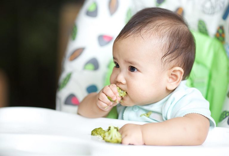 Stage 3 Foods For Babies - What Are They & When to Introduce