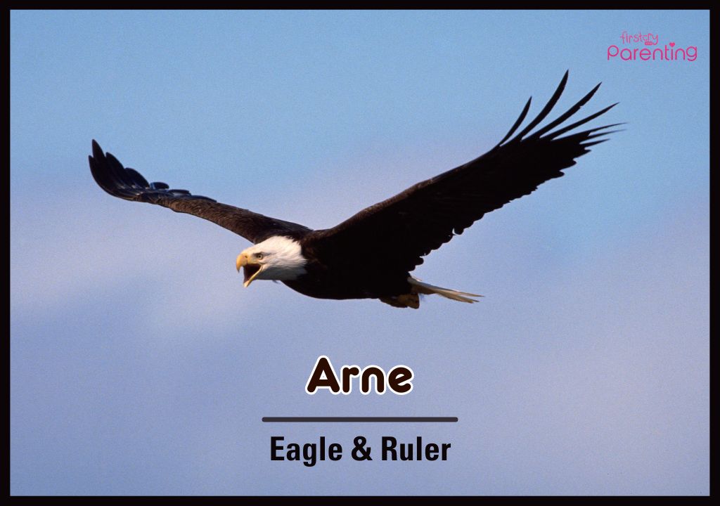 Arne - Danish Names for Boys and Girls With Meanings