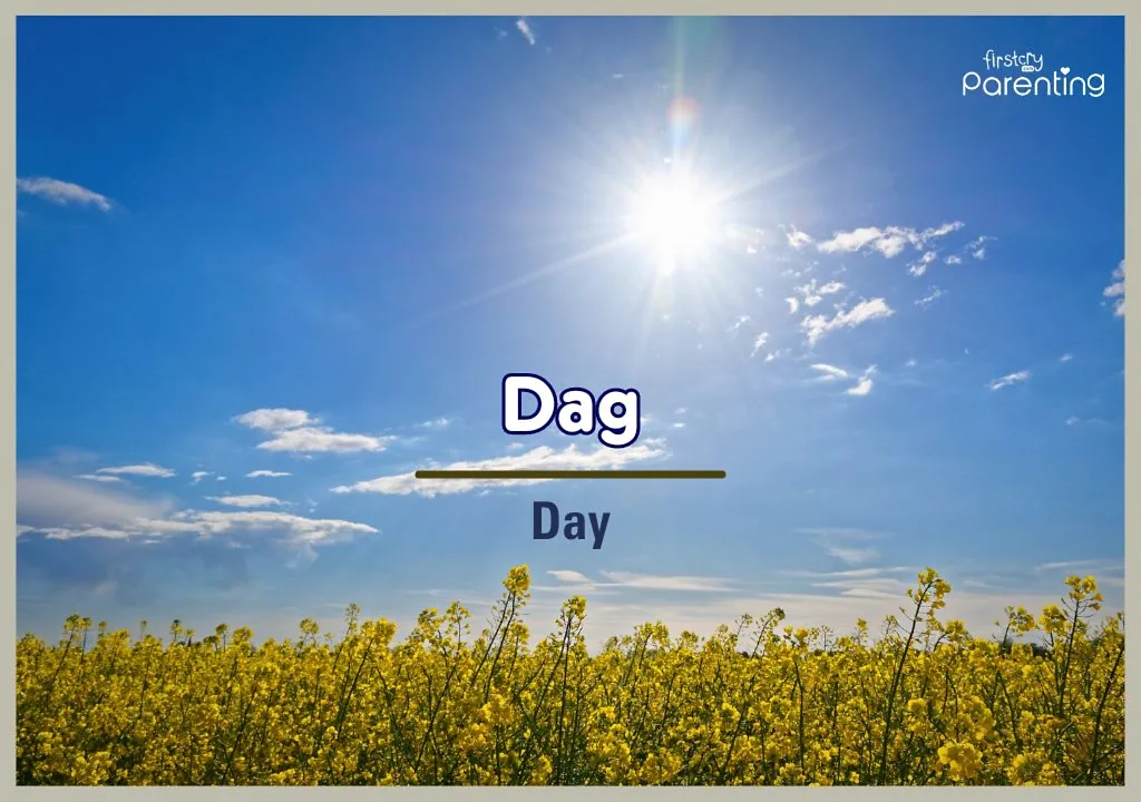 Dag - Danish Names for Boys and Girls With Meanings