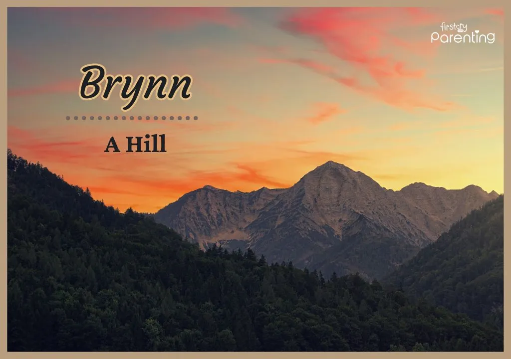 Brynn - Sassy Girl Names With Meanings