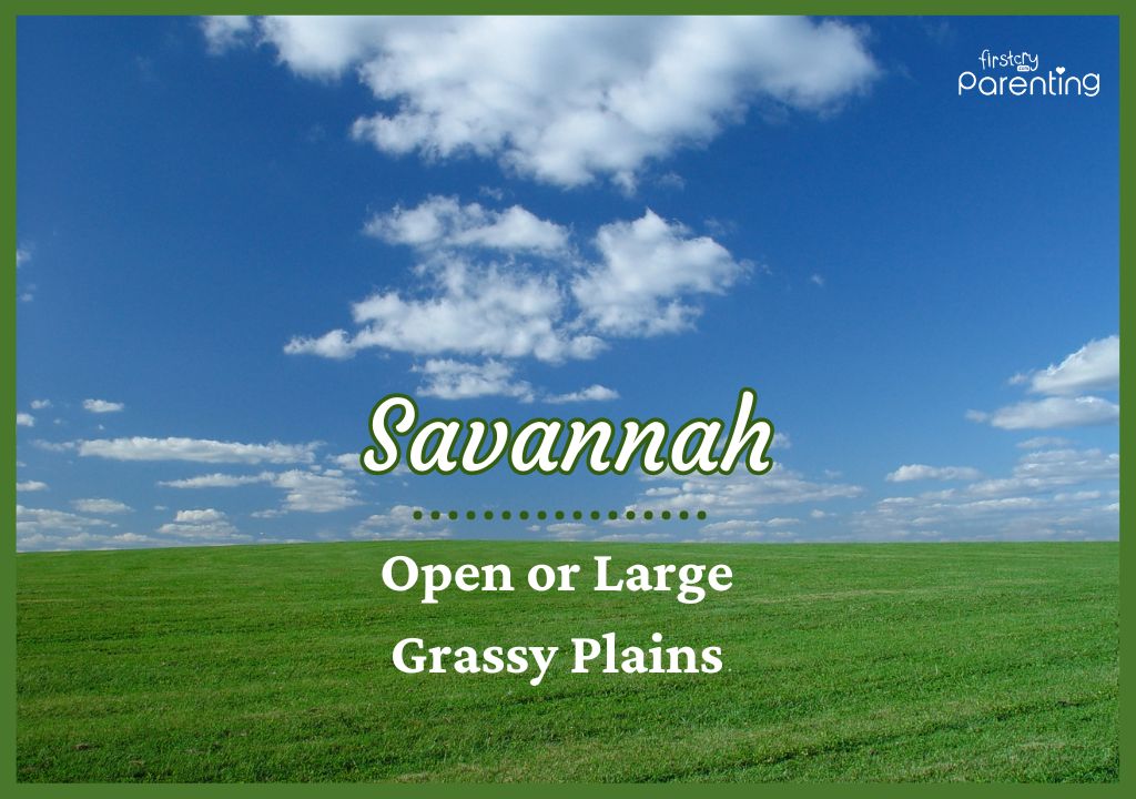 Savannah - Sassy Girl Names With Meanings