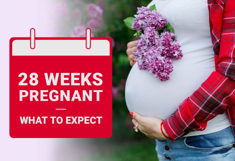 What To Expect At Week 28