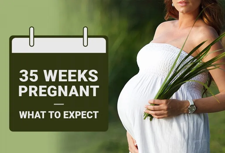 What To Expect At Week 35