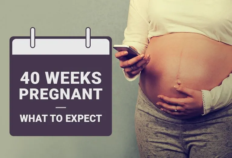 What To Expect At Week 40