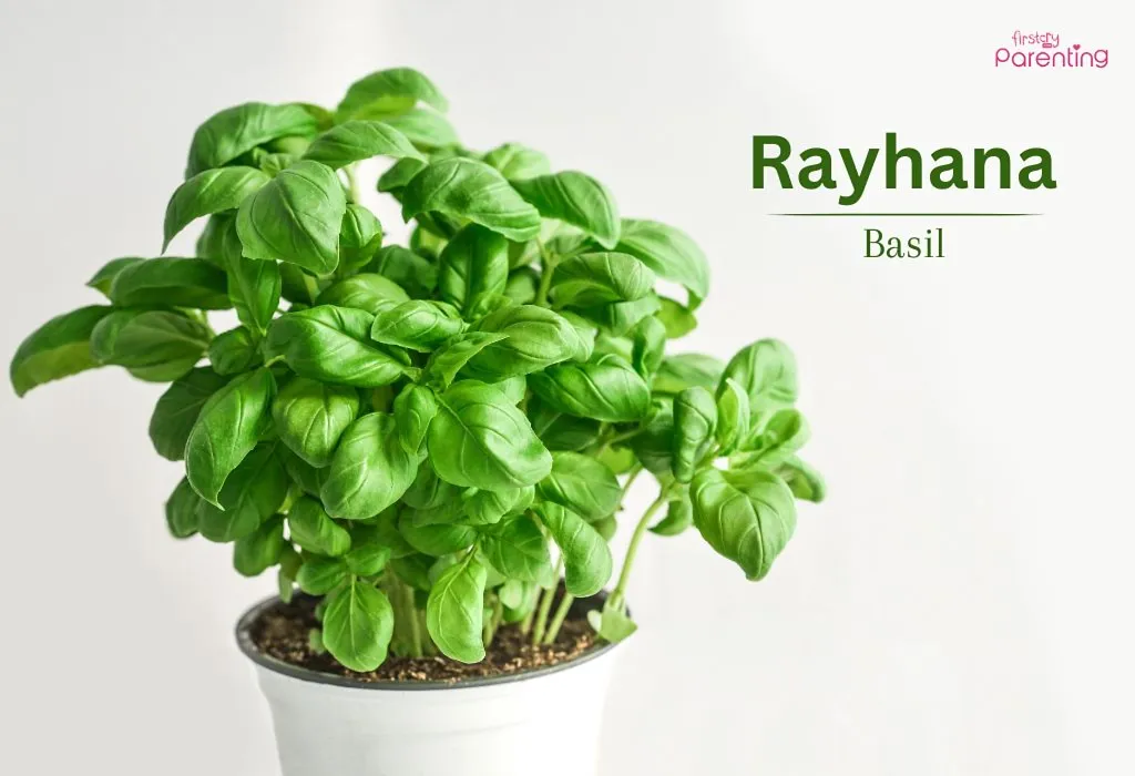 Rayhana - Boy Names Starting With Ray
