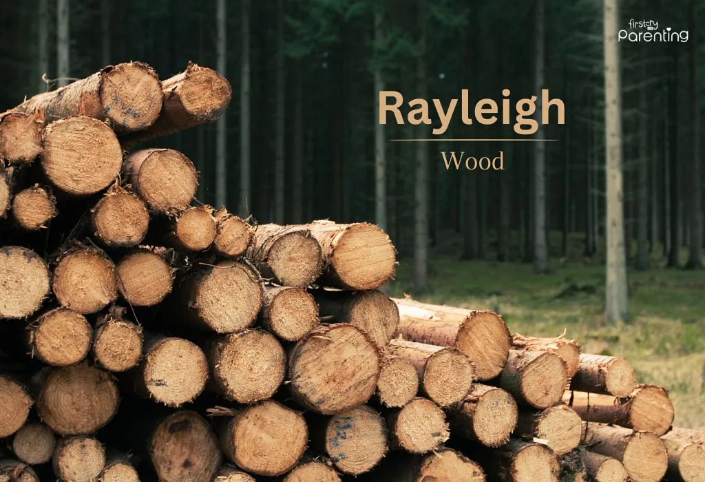 Rayleigh - Boy Names Starting With Ray