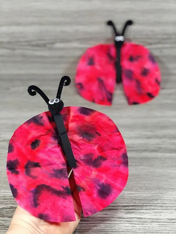 Coffee Filter Ladybug