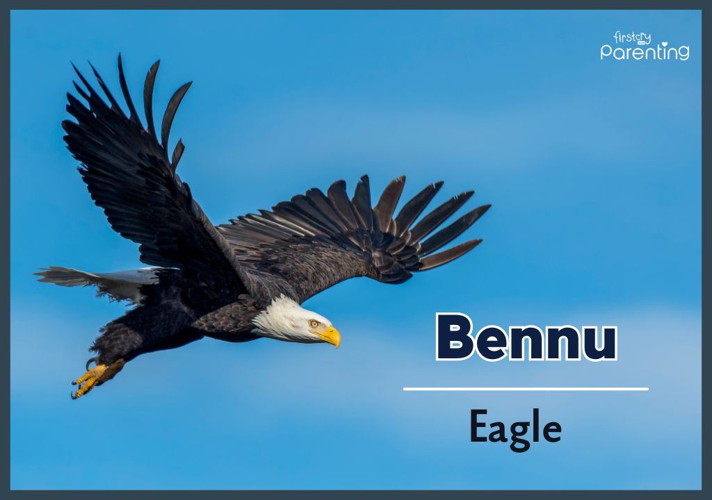 Bennu - Girl Names That Start With Ben