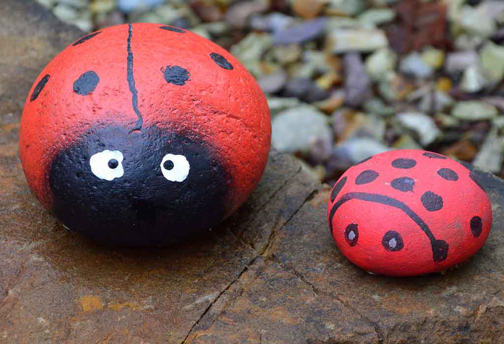 Ladybug Rocks
