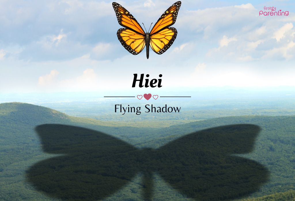 Hiei - Names That Mean Shadow for Boys and Girls Hiei - Names That Mean Shadow for Boys and Girls