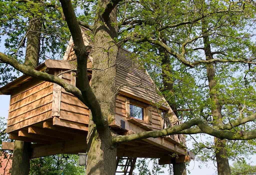 A Big Treehouse Idea