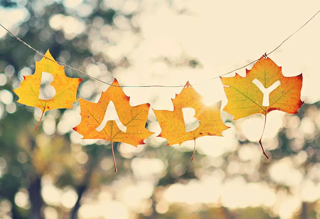 Autumn Leaves Announcement