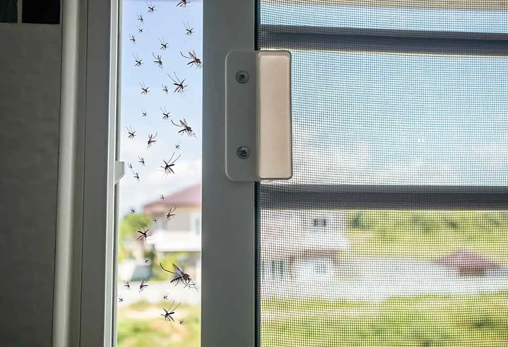 Best Ways to Keep Mosquitoes Away This Monsoon Season