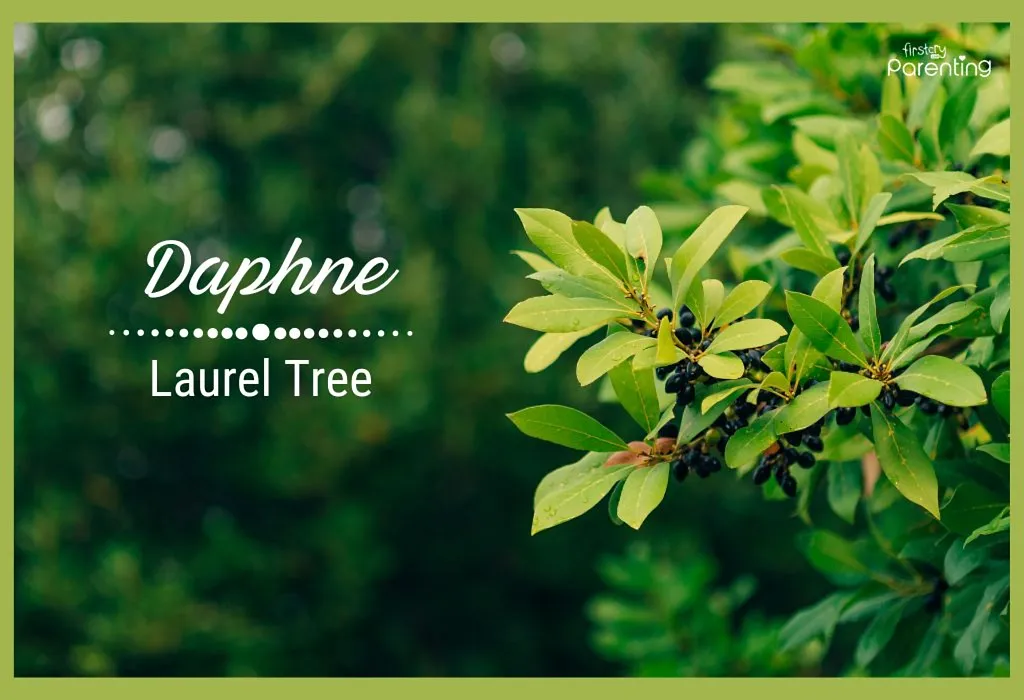 Daphne - Classic Girl Names