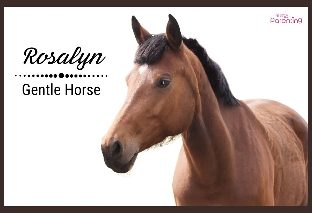 Rosalyn - Classic Girl Names