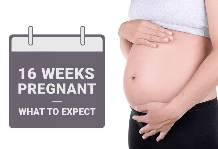 Pregnancy Week-16