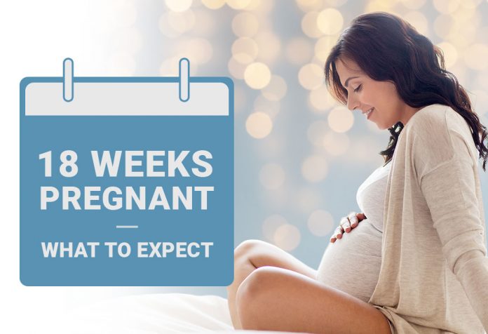 Pregnancy Week-18