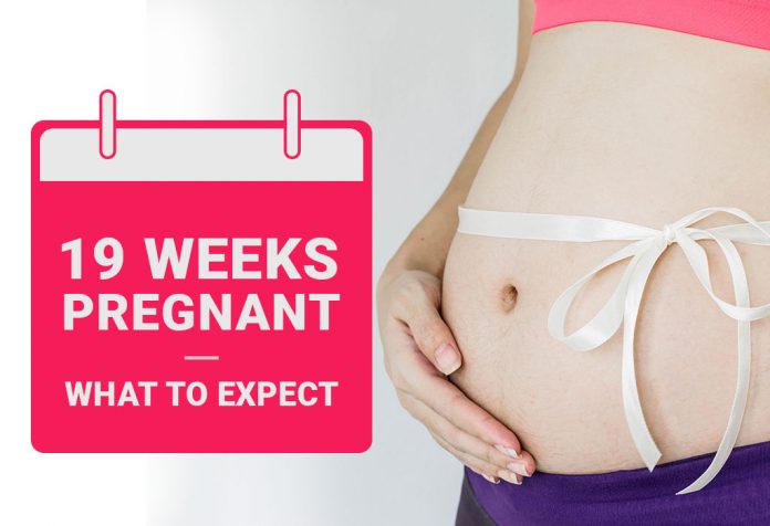 Pregnancy Week-19