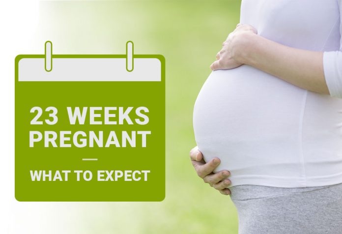 Pregnancy Week-23