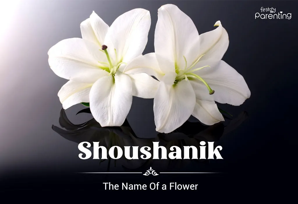 Shoushanik - Armenian Names For Boys and Girls With Meanings Shoushanik - Armenian Names For Boys and Girls With Meanings