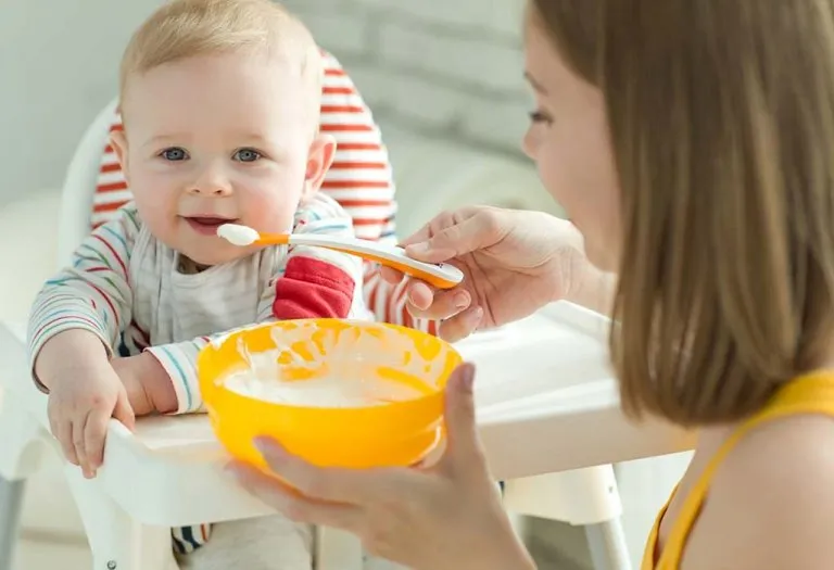 Healthy and Tasty Porridge Recipes for Babies