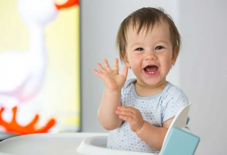 Your Baby This Week