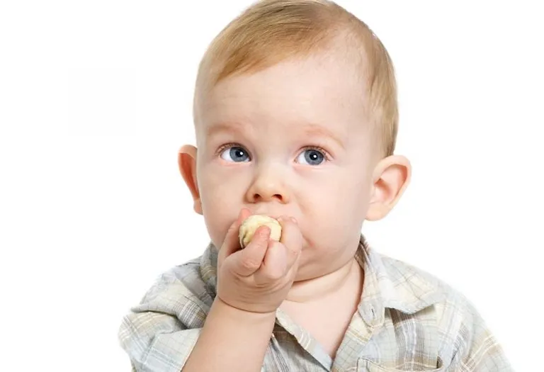 Your Baby this Week