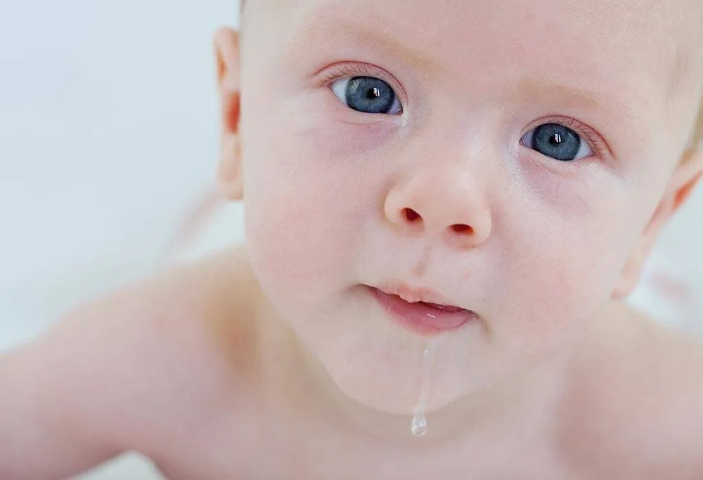 Your Baby this Week