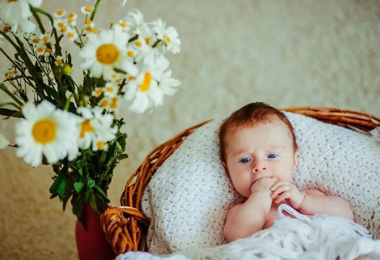 Your Baby this Week