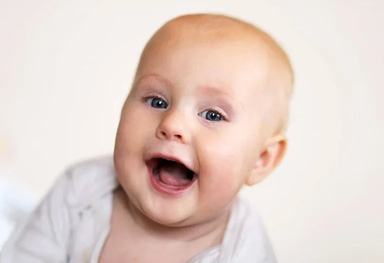 Your Baby this Week