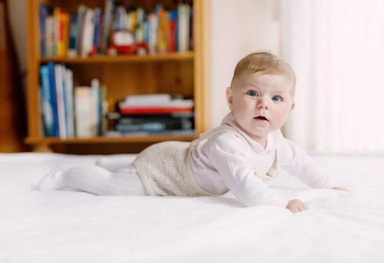 Your Baby this Week