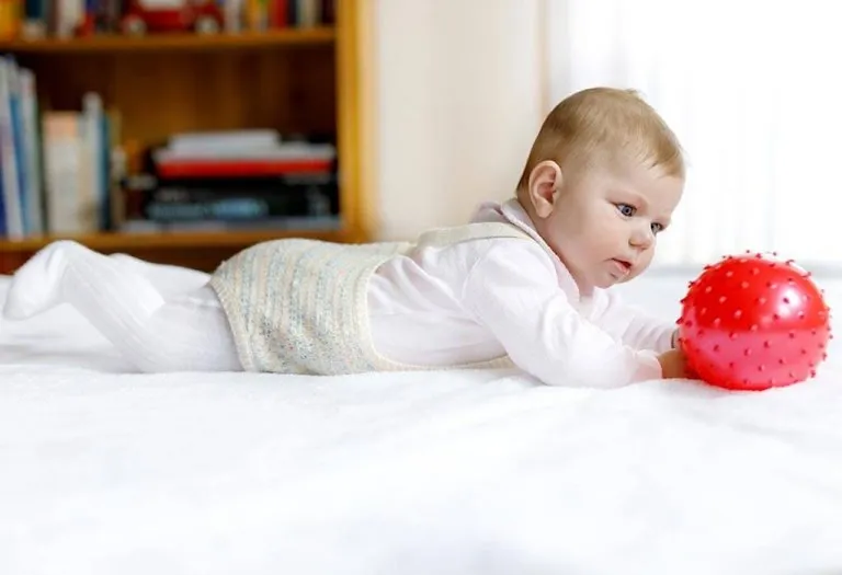 Your Baby this Week