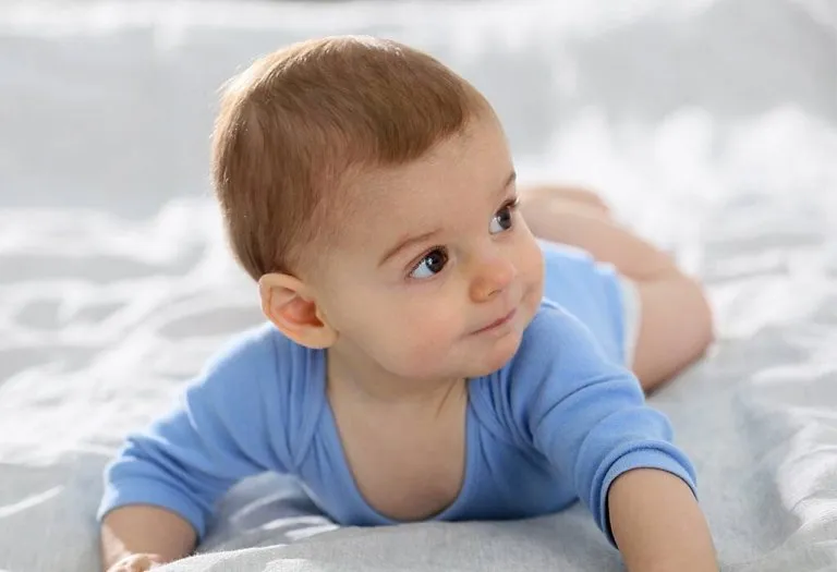 Your Baby this Week