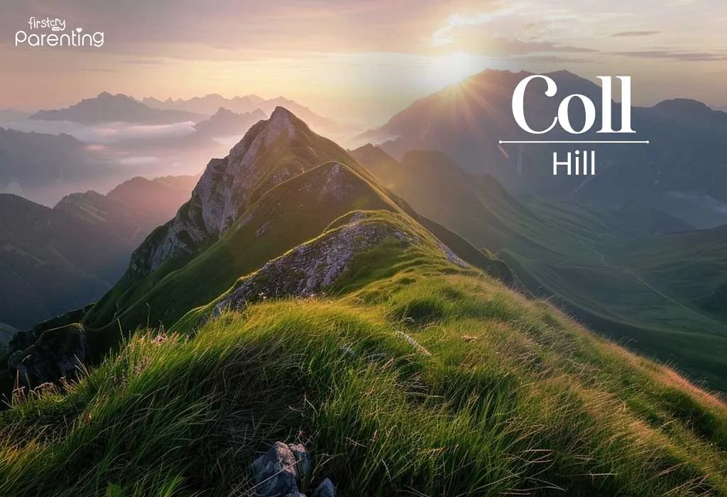 Colla - Last Name That Start with C Colla - Last Name That Start with C