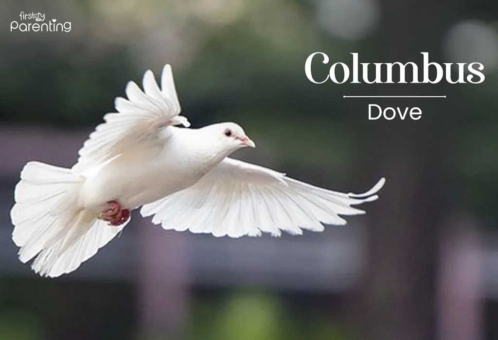 Columbus - Last Name That Start with C Columbus - Last Name That Start with C