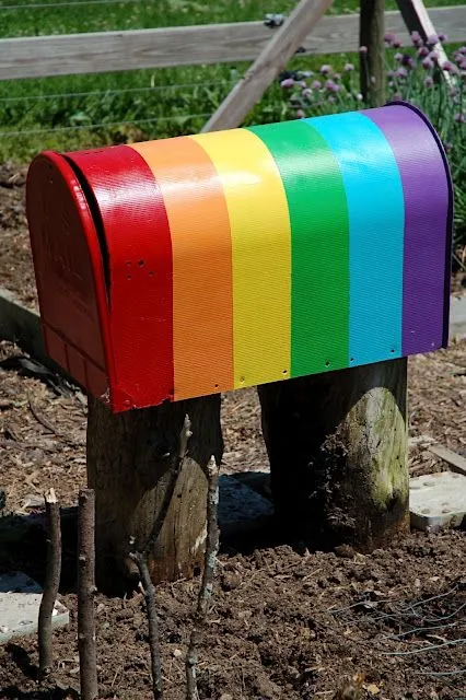 Mailbox-Letterbox Reveal
