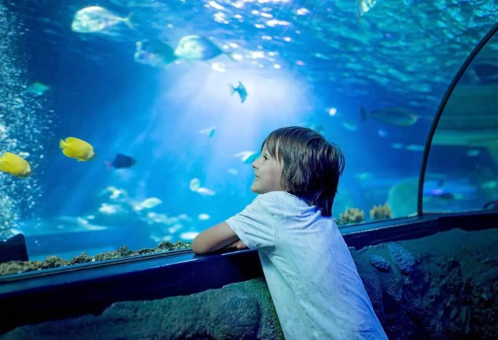Experiential Gifts for Kids