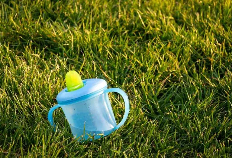 10 Best Spout Sippers for Babies & Toddlers
