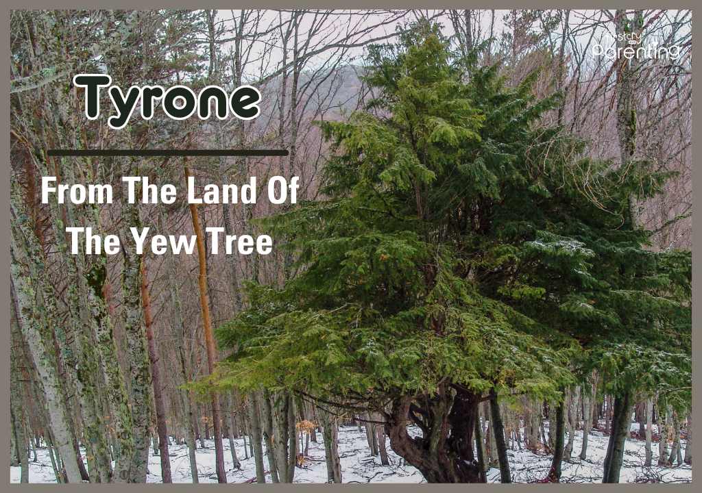 Tyrone - Names Inspired By Songs for Boys and Girls