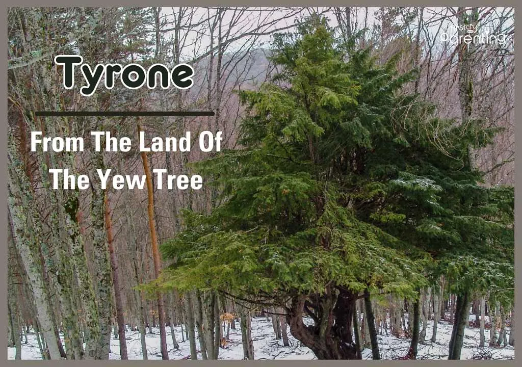 Tyrone - Names Inspired By Songs for Boys and Girls