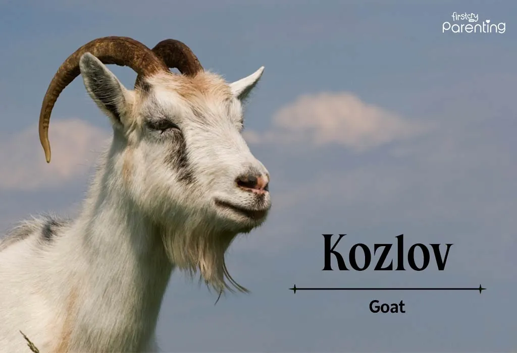 Kozlov - Russian Last Names or Surnames