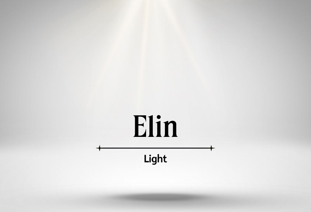 Elin - Russian Last Names or Surnames