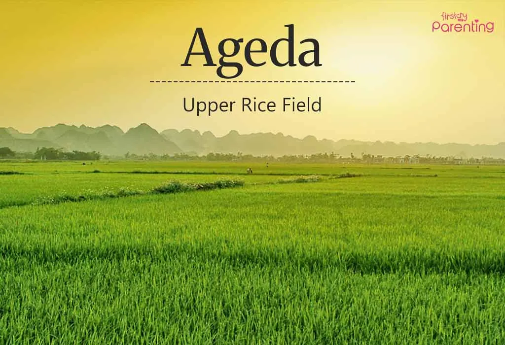 Ageda - Japanese Last Names Or Surnames