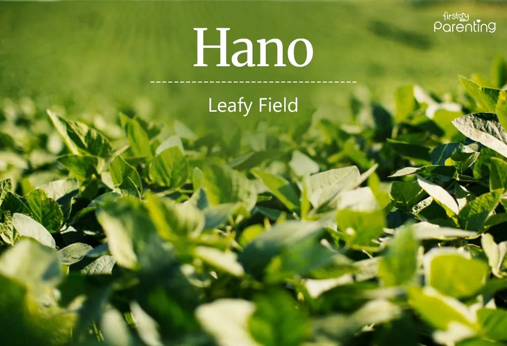 Hano - Japanese Last Naames Or Surnames