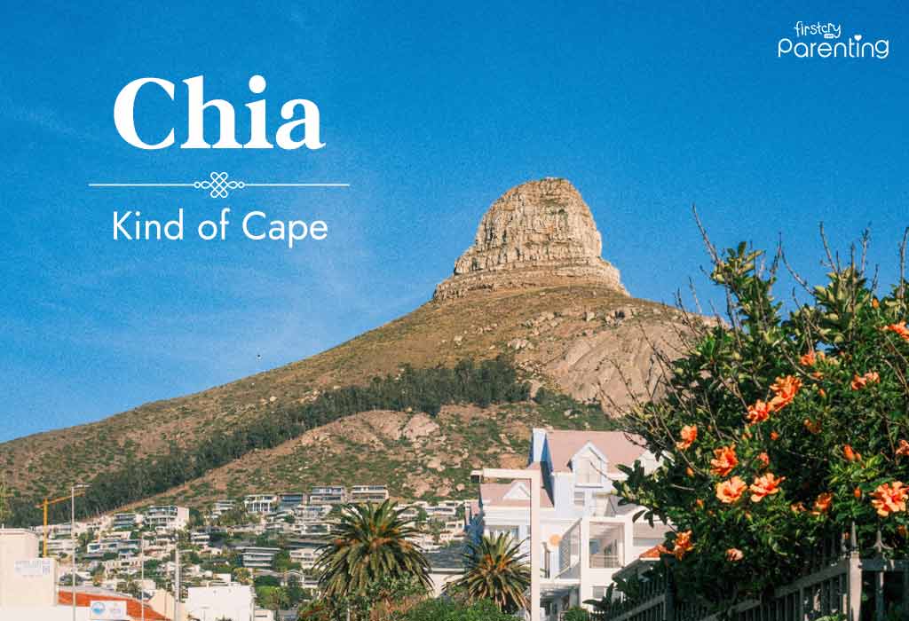 Chia - Chinese Last Names Or Surnames