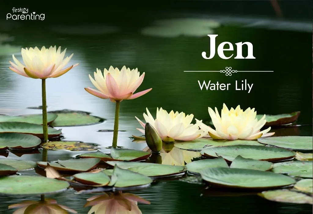 Jen - Chinese Last Names Or Surnames