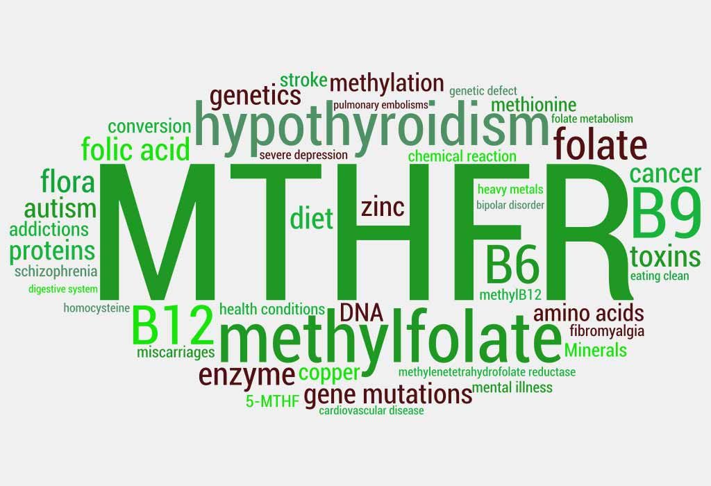 Mthfr In Pregnancy Risks Diagnosis Treatment