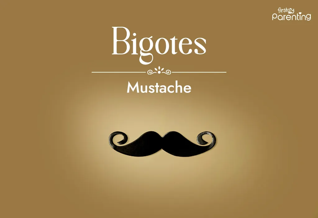 Bigotes - Mexican Last Names or Surnames With Meanings